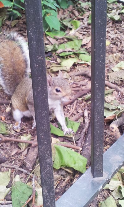 20130626_124638.jpg