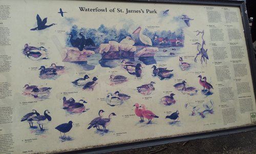 20130626_141734.jpg