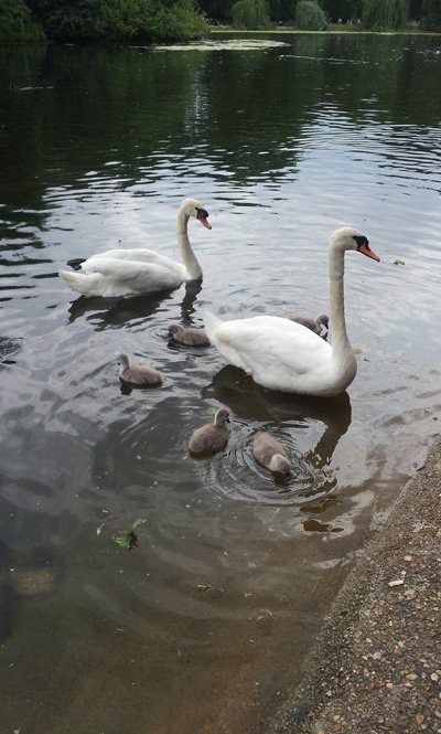 20130626_141627.jpg