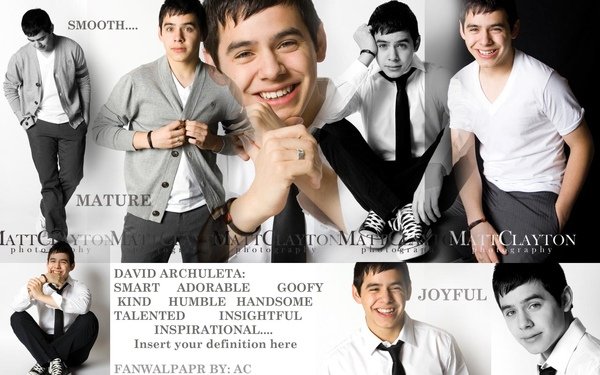 david_archuleta_fan_by_ravendall.jpg