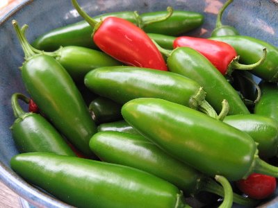 img_1491-jalapenos-400x300.jpg