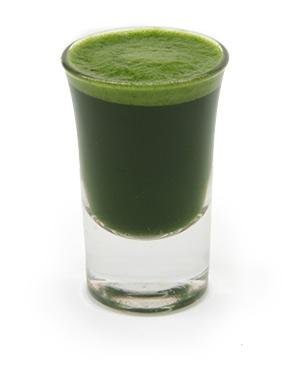 wheatgrass_shot_glass.jpg