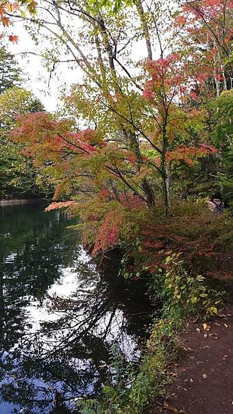 20181010_104608.jpg