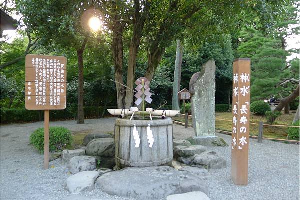 PhotoCap_109.jpg