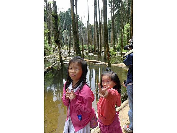 PhotoCap_007.jpg