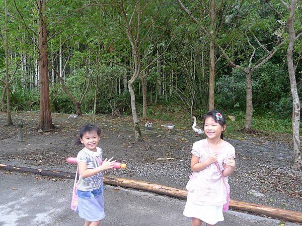 PhotoCap_016.jpg
