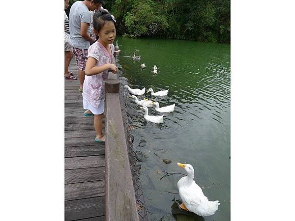 PhotoCap_022.jpg