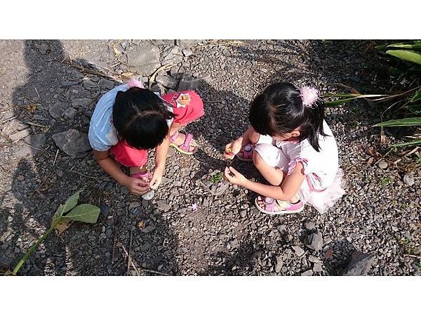 PhotoCap_011.jpg
