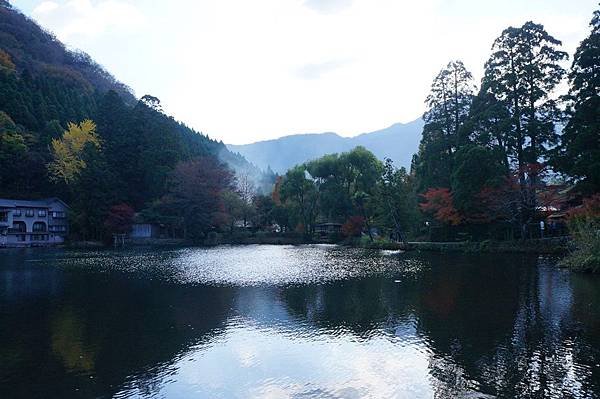DSC08540.JPG