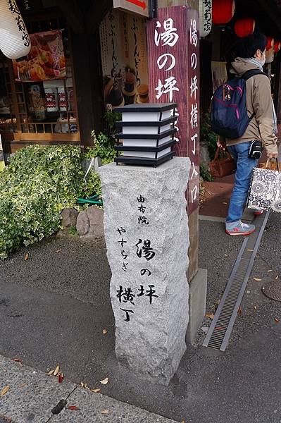 DSC08585.JPG