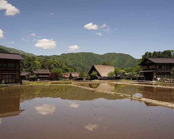 PhotoCap_178.jpg