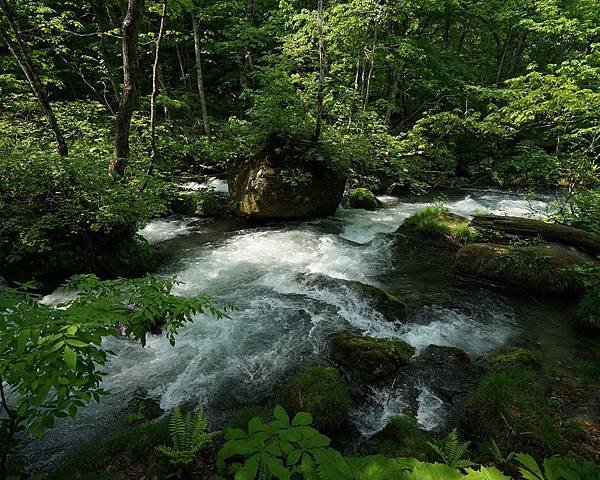 PhotoCap_1412.jpg