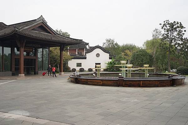 DSC05751