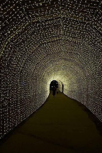 [雪莉丸出遊]2017.3月韓國京畿道加平-夜晚好漂亮的晨靜