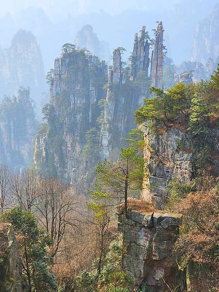 [雪莉丸出遊]2023.12月一個人旅行之湖南長沙張家界順德