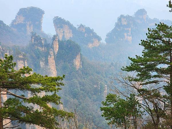 [雪莉丸出遊]2023.12月一個人旅行之湖南長沙張家界順德