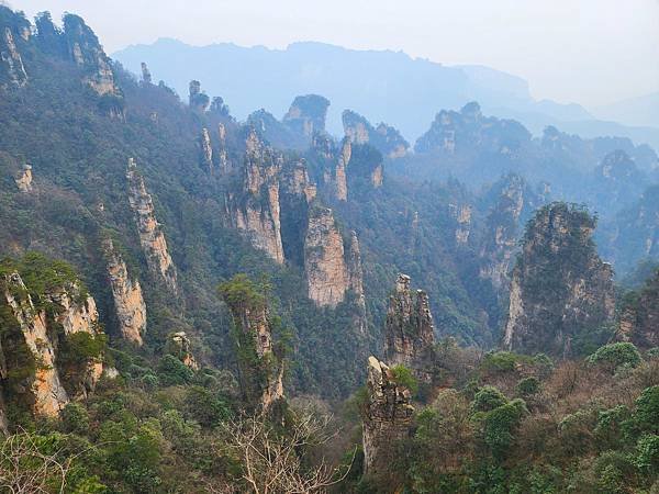 [雪莉丸出遊]2023.12月一個人旅行之湖南長沙張家界順德