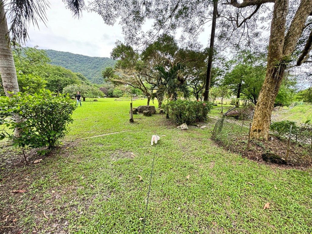 【宜蘭員山－鄧伯花廊咖啡】綠意盎然的寵物友善咖啡廳。