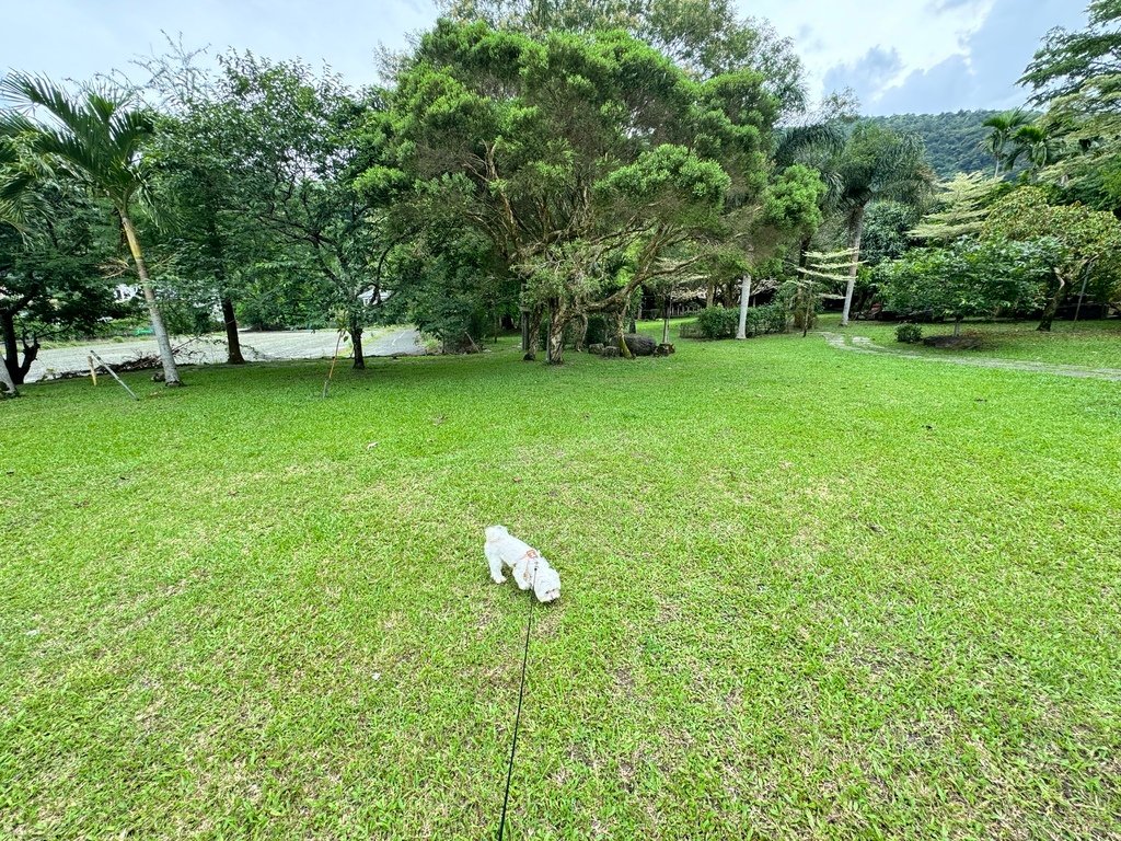 【宜蘭員山－鄧伯花廊咖啡】綠意盎然的寵物友善咖啡廳。