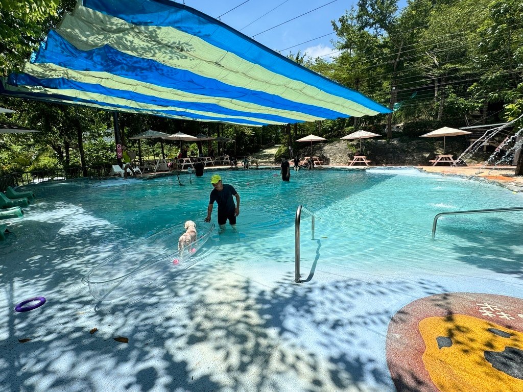 【台南關廟區－Jorona Park 森呼吸• 寵物休閒廣場