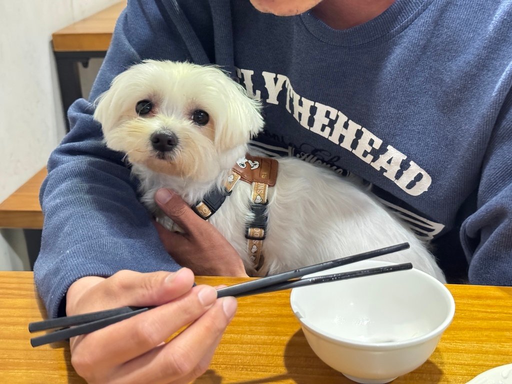 【台東成功－比西里岸-近海廚房】三仙台周邊的美食餐廳，重口味