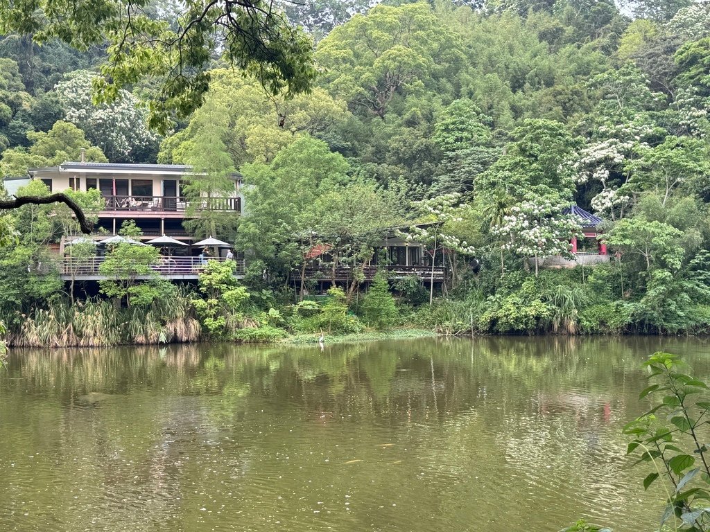 新竹峨眉-十二寮大埤一日遊、湖光山色、輕鬆漫步超療癒！