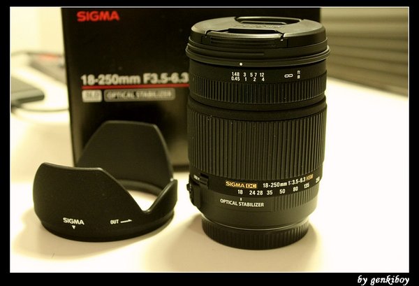 sigma 18-250mm (4).jpg