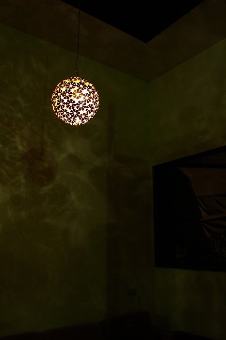 IMG_7307_nEO_IMG.jpg
