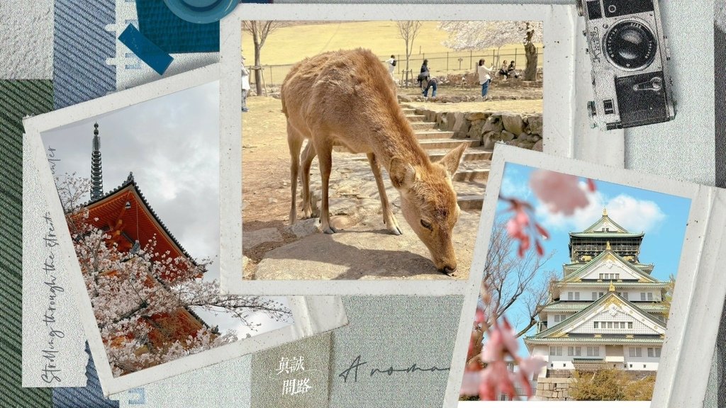 LINE_ALBUM_日本行_250426_1.jpg