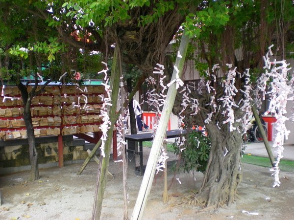 DSCN1440.JPG