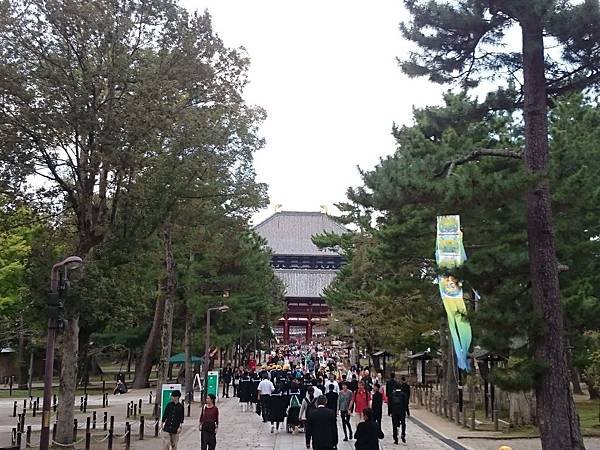 表參道.jpg