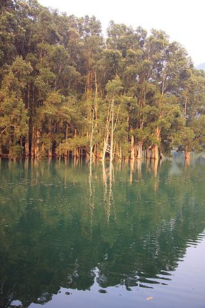 IMG_2487.jpg