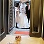 達伶-92.jpg