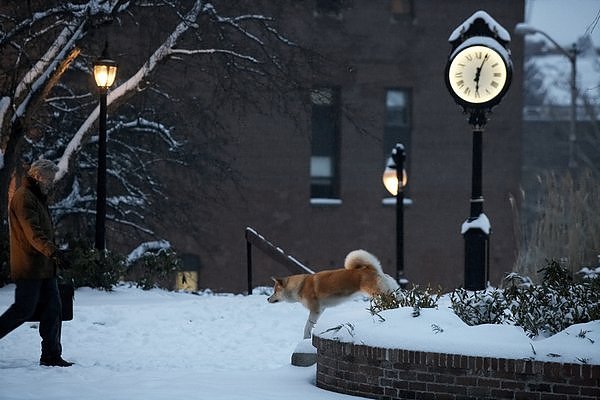 Hachiko.jpg