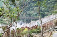 富源國家森林遊樂區蝴蝶谷 - 富源吊橋