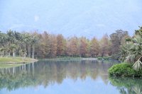 壽豐 雲山水