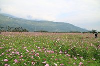 IMG_5762.JPG