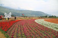 IMG_5775.JPG