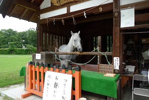 神馬