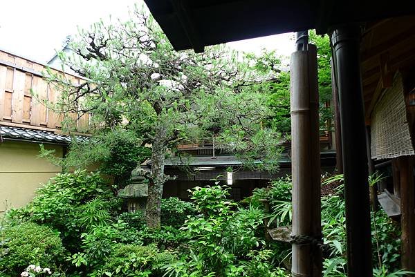 一樓看到的庭院