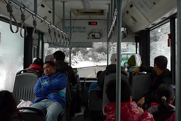 上原始森林在下雪囉