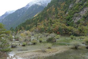 盆景灘
