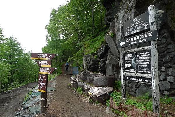 真的要進入山中了