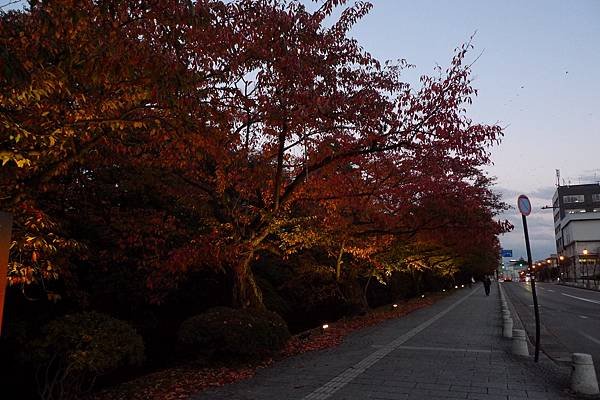 弘前城外紅葉