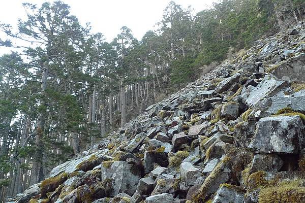 唯一一個崩塌坡地