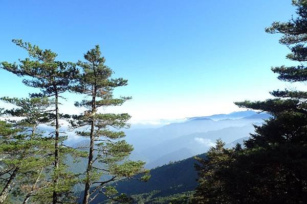 兩天滿滿的雲海