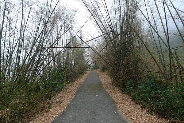 第三登山口路段