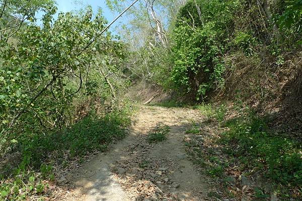 月光山的登山路