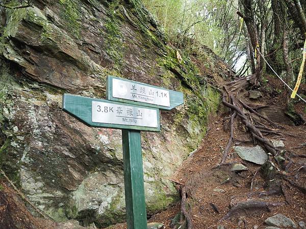 鋸齒連峰與羊頭山叉路