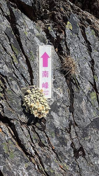 玉山南峰指標
